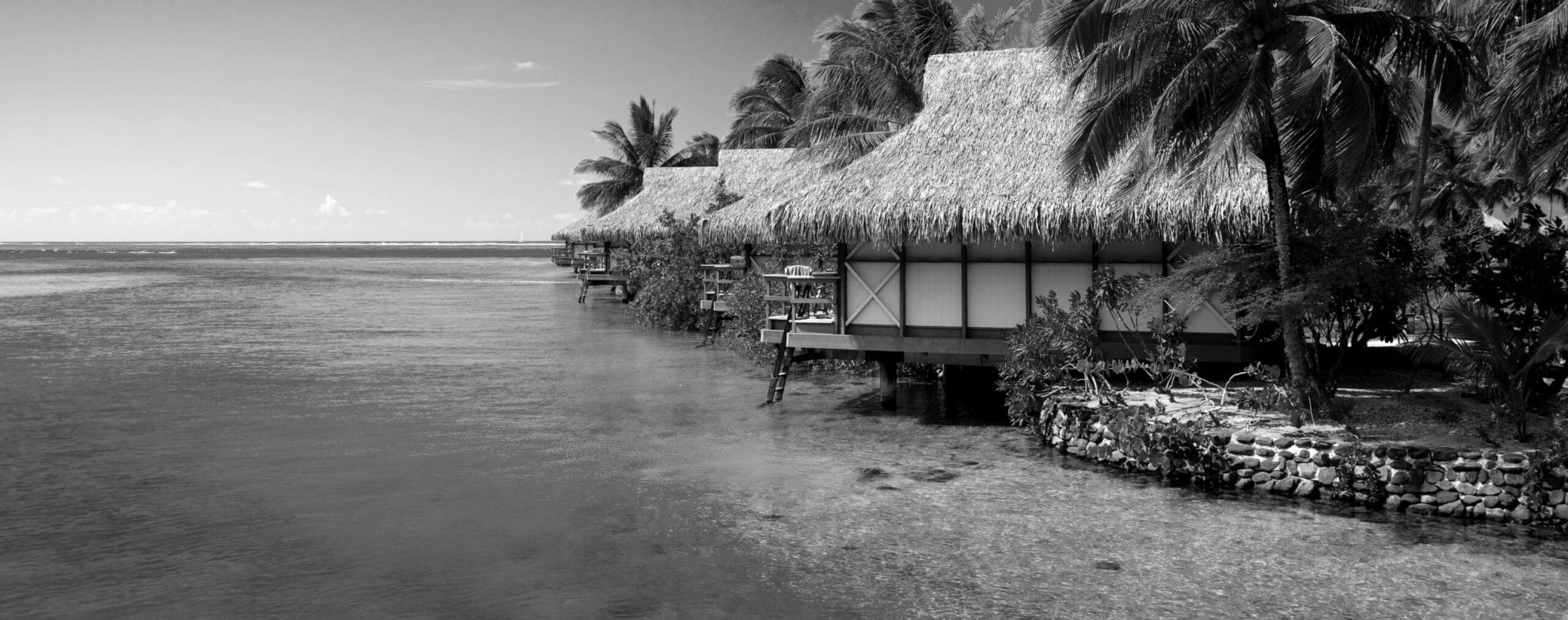 Image de la page